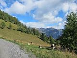 Colle delle Finestre e Assietta - 014